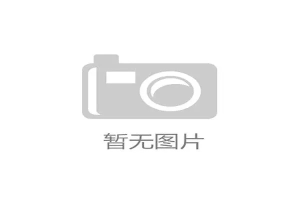 厄瓜多尔队2026世界杯前景分析：能否小组出线再创佳绩
