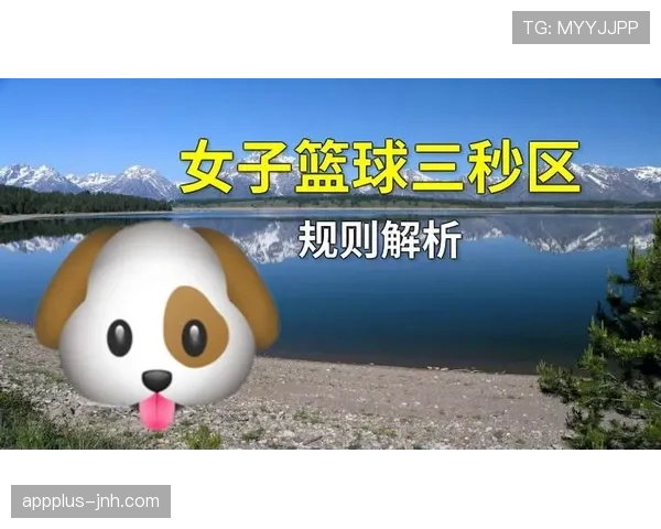 国际篮球三秒规则有何不同？新手指南解析